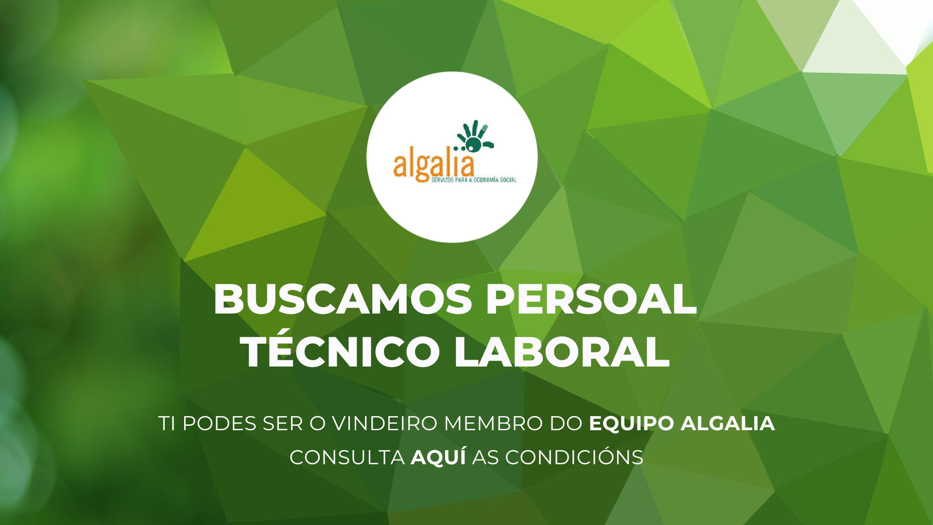 oferta tecnico laboral